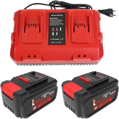 Bsioff Power X-Change Kit batterie et chargeur : 2 x 5,0 Ah batteries et Twincharger Power X-Change pour tous les appareils Power X-Change