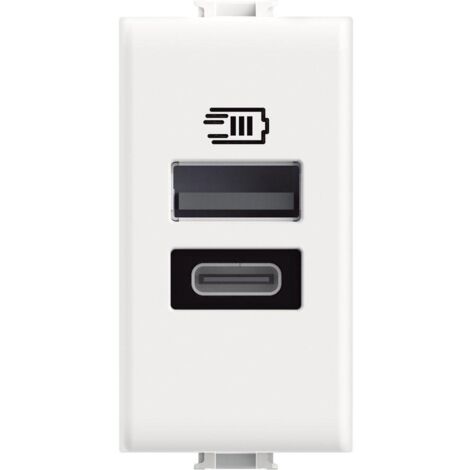BTICINO Caricatore USB Due ingressi Bianco