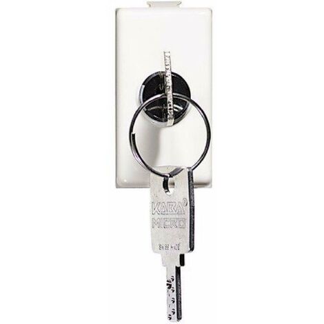 Bticino deviatore con chiave 2p 10a matix am5007d