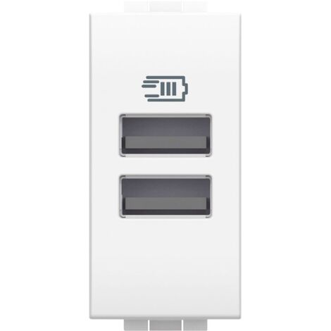 Bticino LivingLight double prise USB type A 1 module N4191AA
