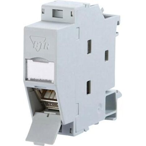 BTR 130B117003-E REG PLUS - MÓDULO DE ENTRADA DE CABLE ETHERNET (IP20, CAT. 6, ENTRADA DESDE ARRIBA)