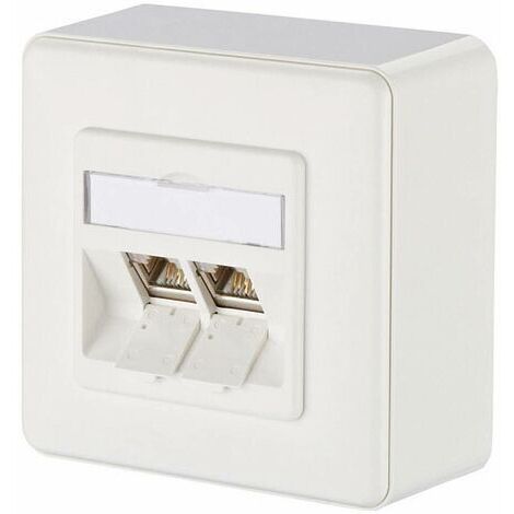 BTR E-DAT MODULE 2 PORT AP BLANC (RAL 9010) - 8/8(8) AP, CAT 6 ANSCHLUSSDOSE AUFPUTZ AVEC 2 E-DAT MODULE EINBAUBUCHSEN, GHMT CAT