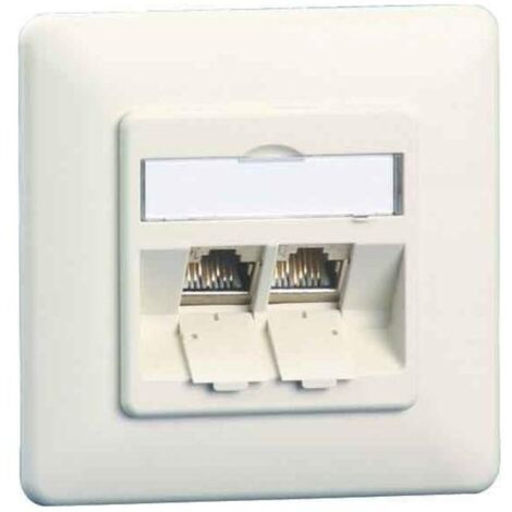 BTR NETCOM Anschlussdose C6Amodul UP 2Port 180 UP,rws TN C6Amod-2UP-180rw