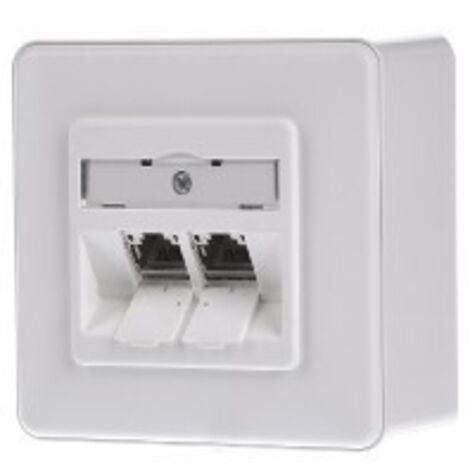 BTR NETCOM Anschlussdose, Cat.6A 2xRJ45,AP,rws TN E-DATmod-2AP-rws