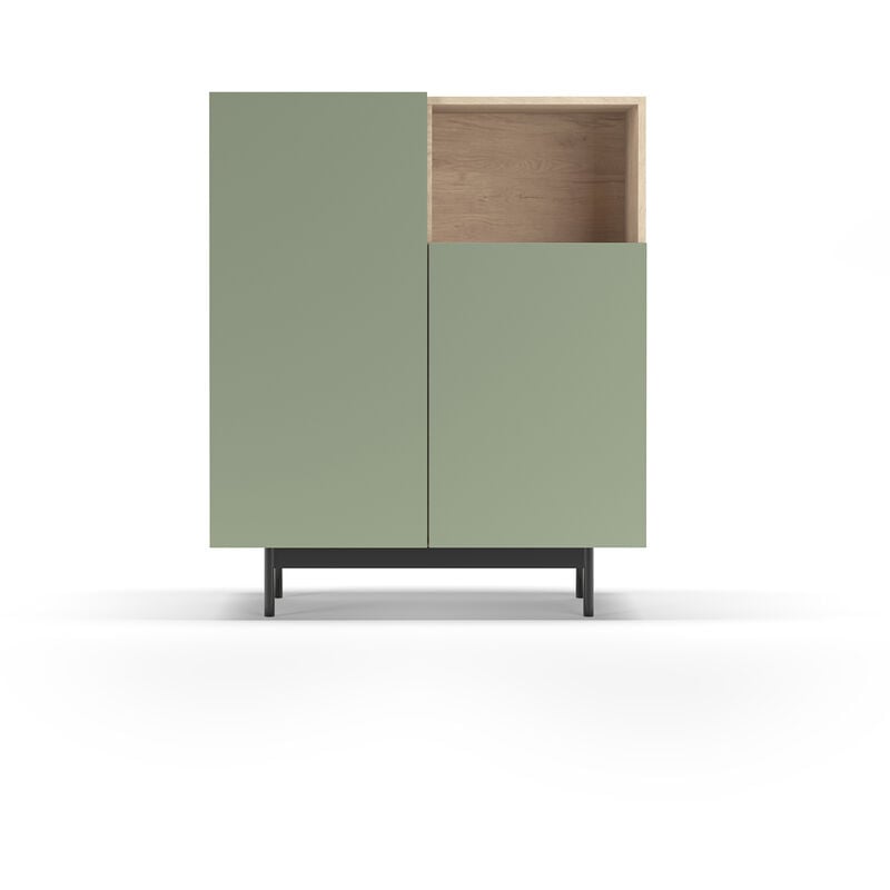 Buffet de rangement en mélamine, collection printed, avec 2 portes, couleur chêne clair - vert