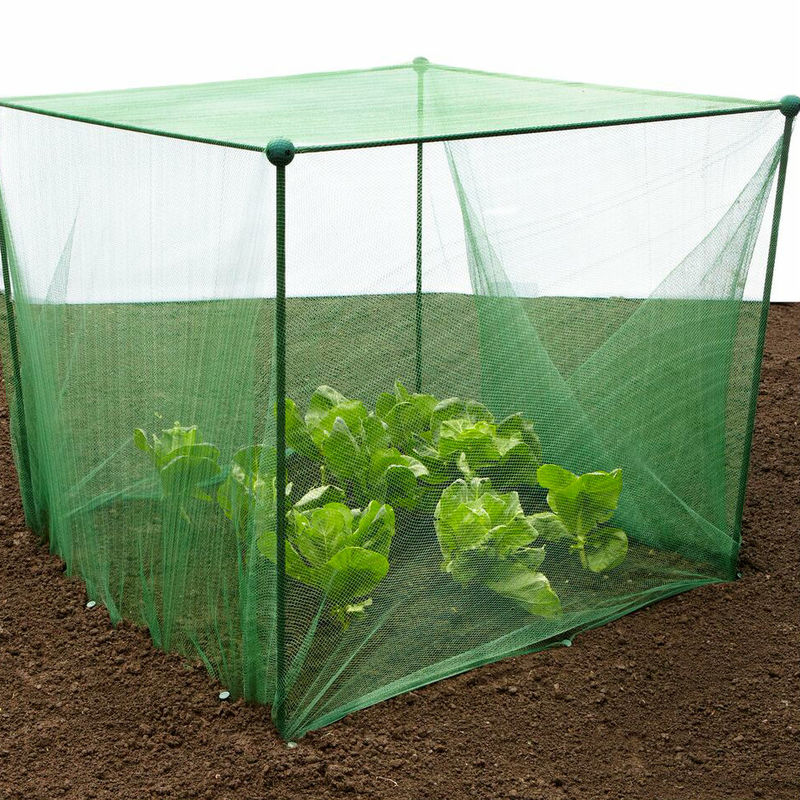 Gardenskill - Build-a-Cage Fruit & Veg Cage with Butterfly Net - 2.5m x 2.5m x 1.25m high