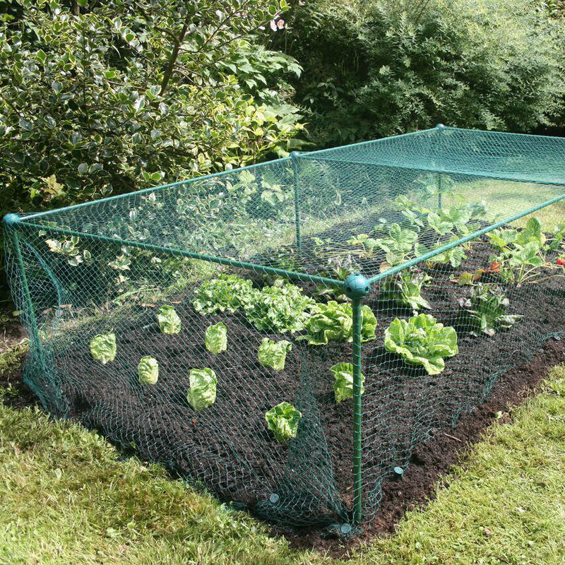 Gardenskill - Build-a-Cage Fruit & Veg Cage with Bird Net - 1m x 1m x 0.625m high
