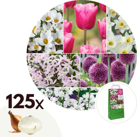 Bulb Garden Pink - 125x Mélange de Bulbes - Narcisse, Allium, Crocus, Tulipe
