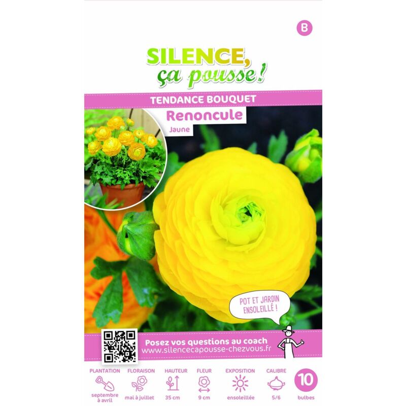 Bulbe de Renoncule jaune/Sachet de 10 bulbes - Jaune