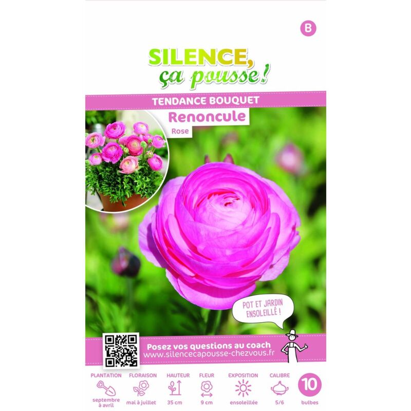 Bulbe de Renoncule rose/Sachet de 10 bulbes - Rose
