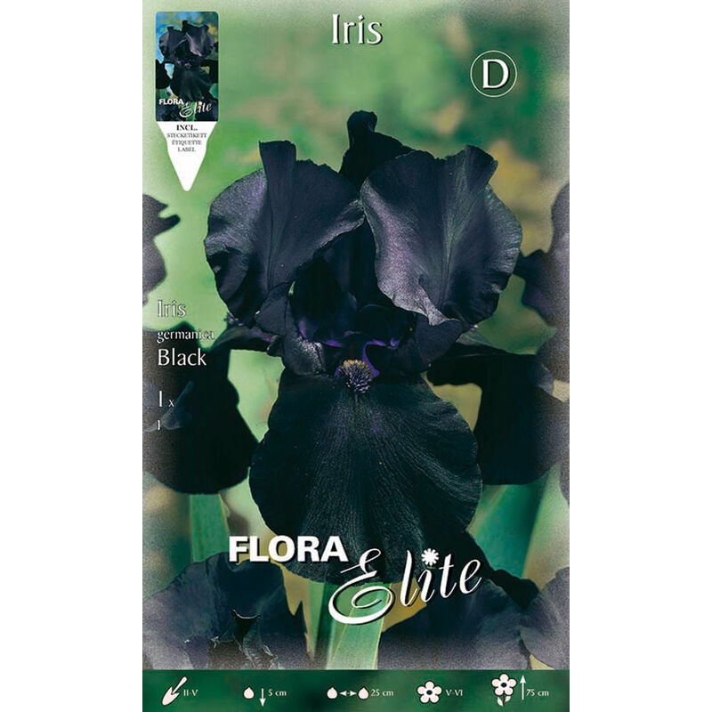 Peragashop - iris germanica noir (pack de 1 ampoule)