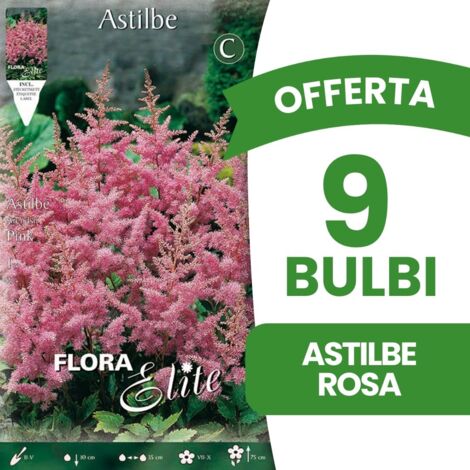 BULBI PRIMAVERILI OFFERTA 9 BULBI ASTILBE ROSA BULBS PLANT BULBES