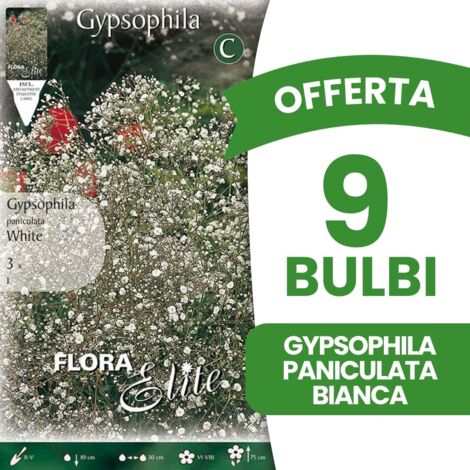 PERAGASHOP BULBI PRIMAVERILI OFFERTA 9 BULBI GYPSOPHYLA PANICULATA BIANCA BULBS