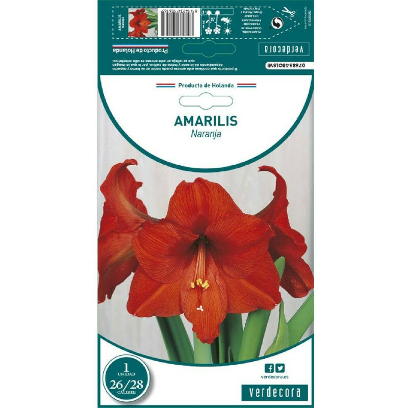 

Bulbo Amarilis Naranja 1 Ud