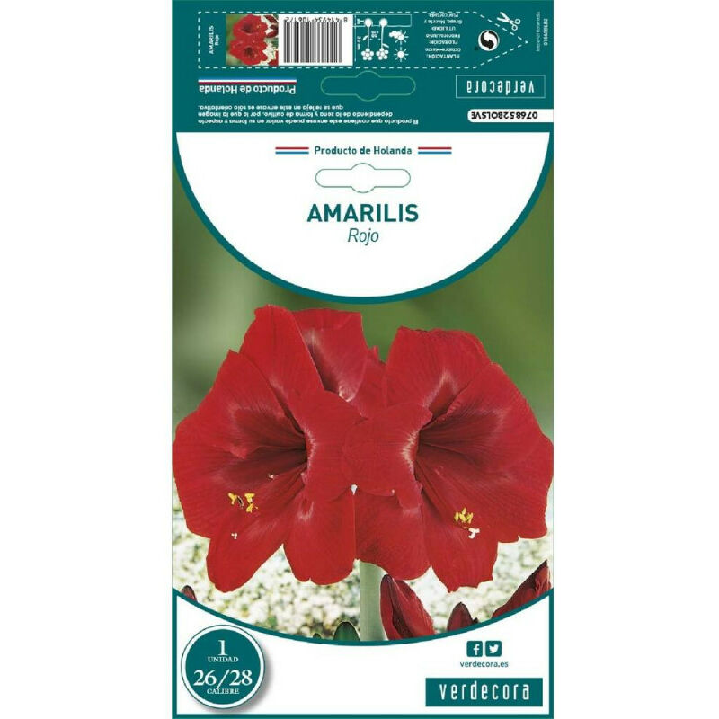 

Bulbo Amarilis Rojo 1 Ud