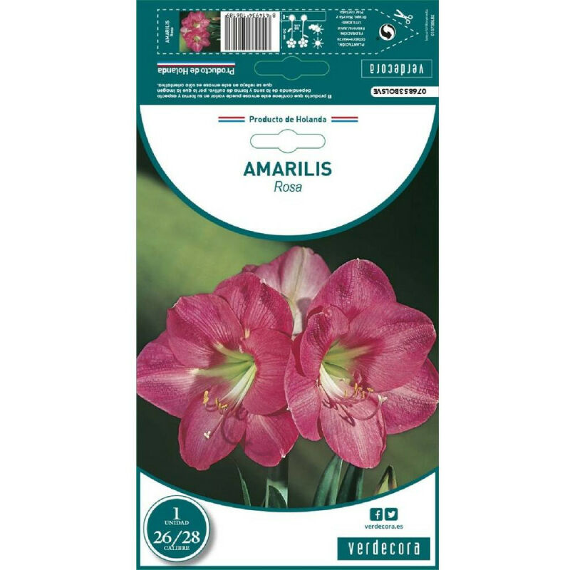

Bulbo Amarilis Rosa 1 Ud