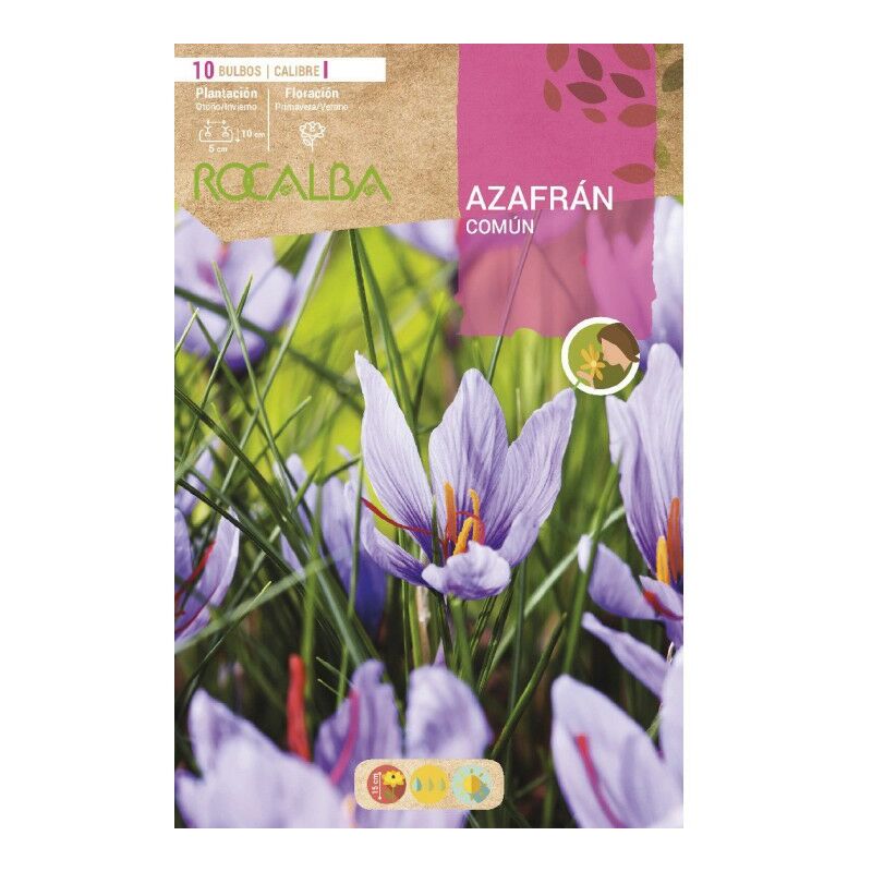 

Bulbo Azafran Comun Culinario - 10 Ud Producto Certificado