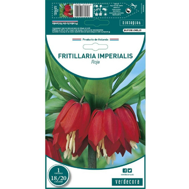 

Bulbo Fritillaria Roja 1 Ud