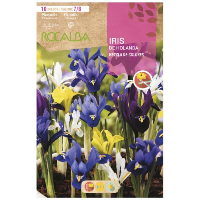 

Bulbo iris de holanda mezcla de colores Rocalba