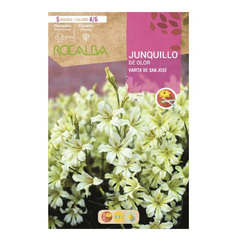 

Bulbo Junquillo De Olor Varita De San José - 5 Ud.