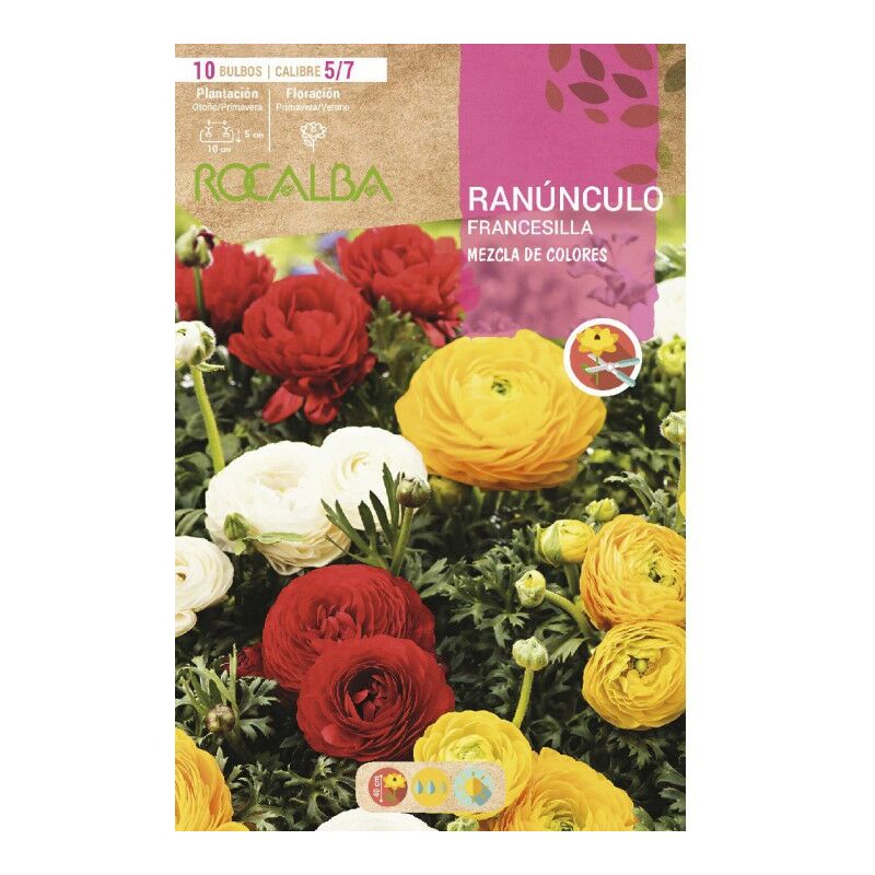 

Rocalba - BULBO RANUNCULO FRANCESILLA MEZCLA DE COLORES - 10 UD