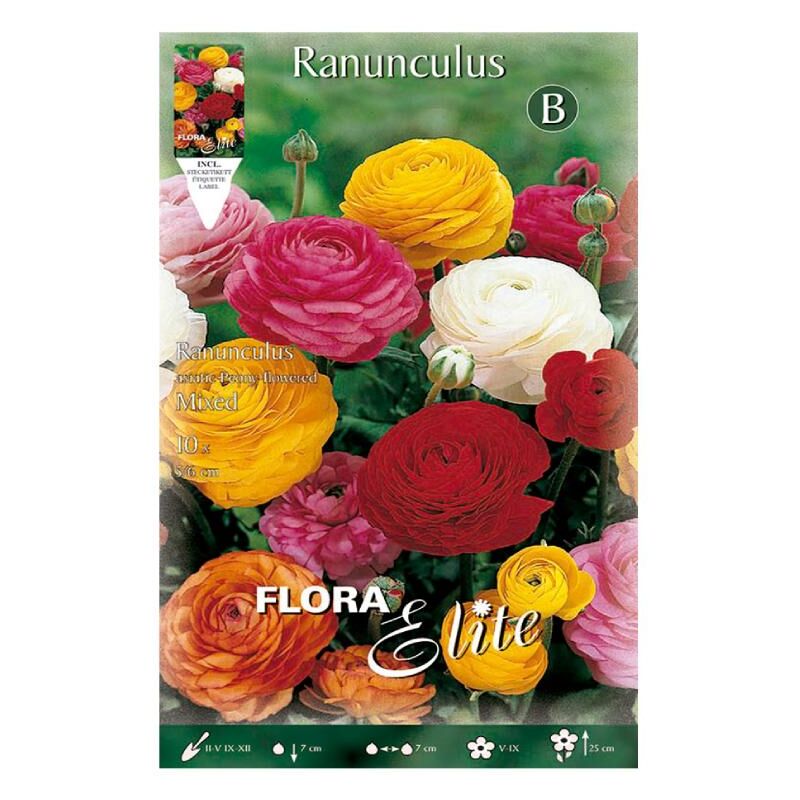 

Bulbo Ranúnculo varios colores 10 ud - Elite