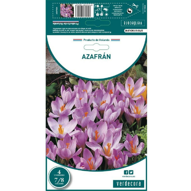 

Bulbos Azafran 4 Uds