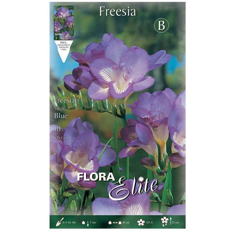 

Bulbos Freesia simple Azul 10 uds.