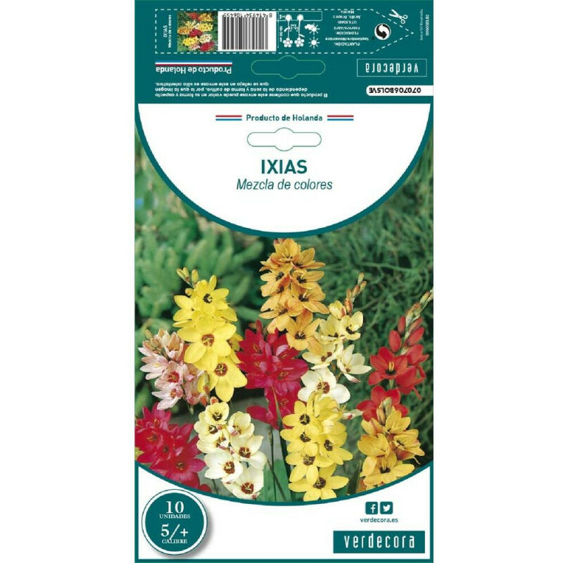 

Bulbos Ixia Mexcla 10 Uds