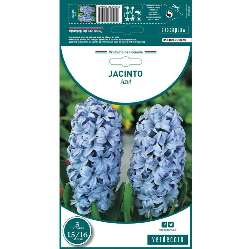 

Bulbos Jacinto Azul 3 Uds