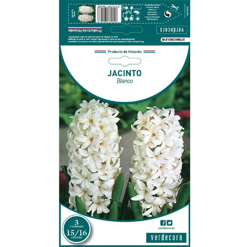 

Bulbos Jacinto Blanco 3 Uds