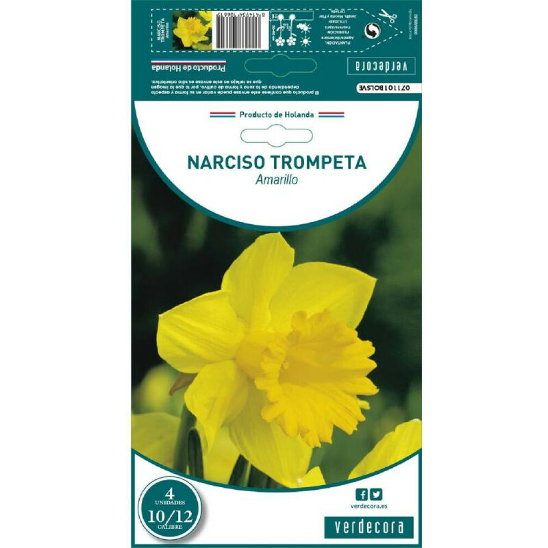 

Bulbos Narciso Trompeta Amarillo 4 Uds