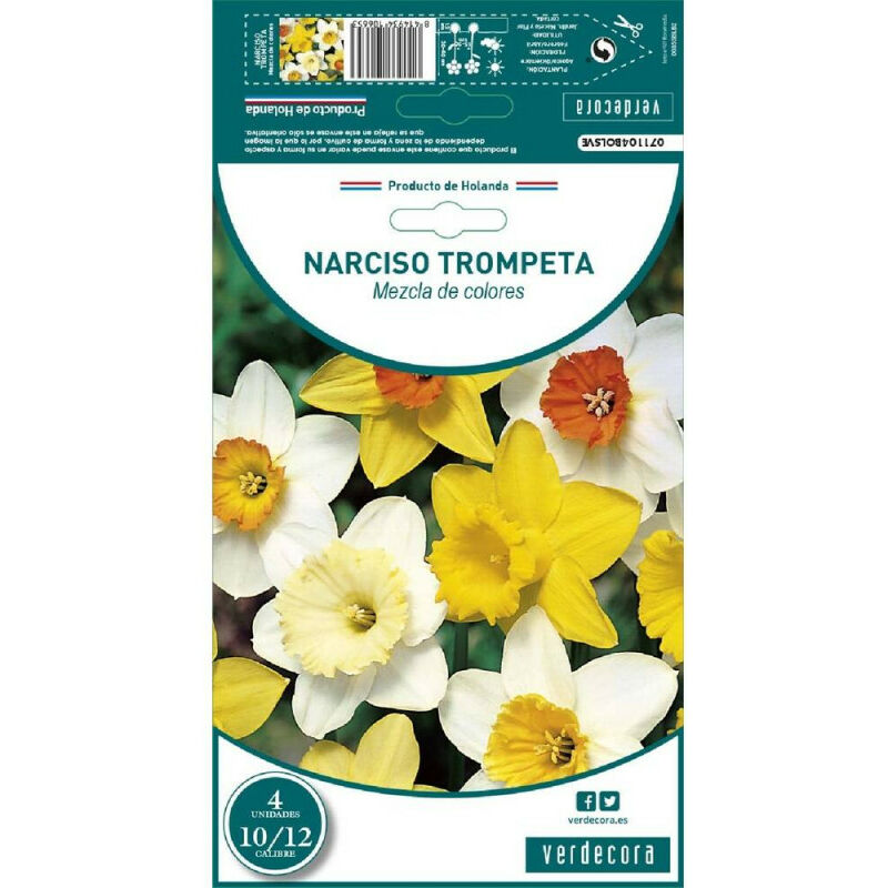 

Bulbos Narciso Trompeta Mezcla 4 Uds