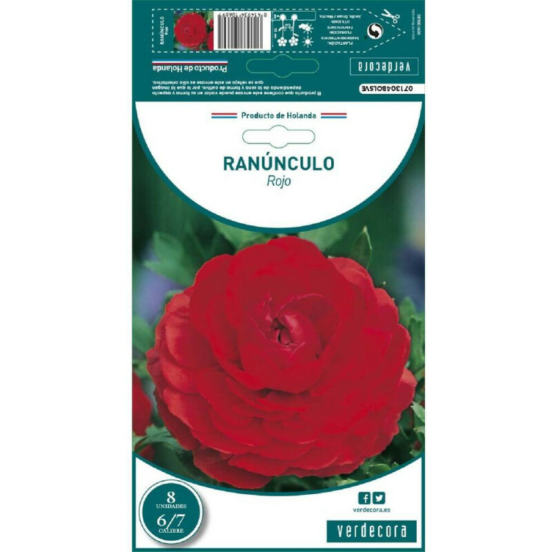 

Bulbos Ranunculo Rojo 8 Uds