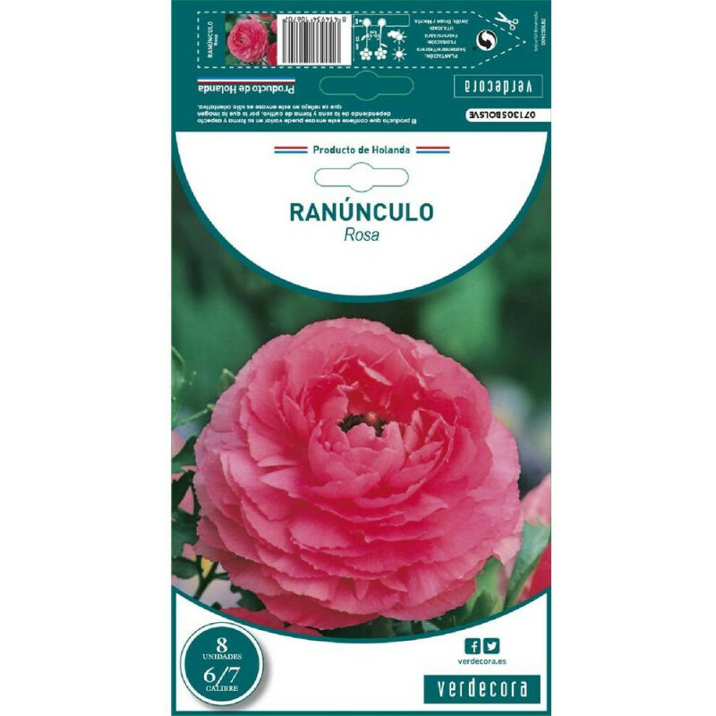 

Verdecora - BULBOS RANUNCULO ROSA 8 UDS