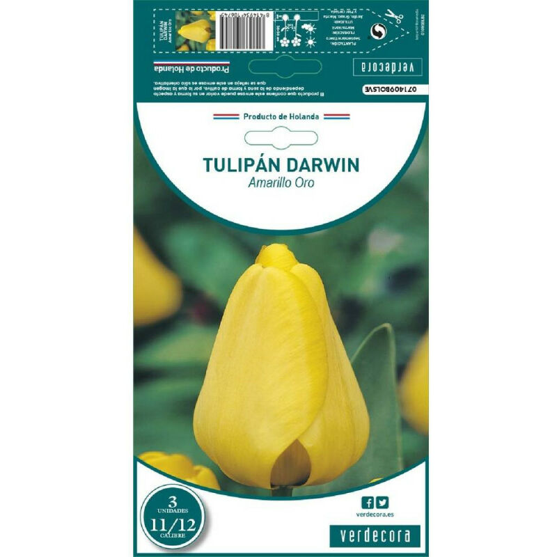 

Bulbos Tulipan Darwin Amarillo Oro 3 Uds