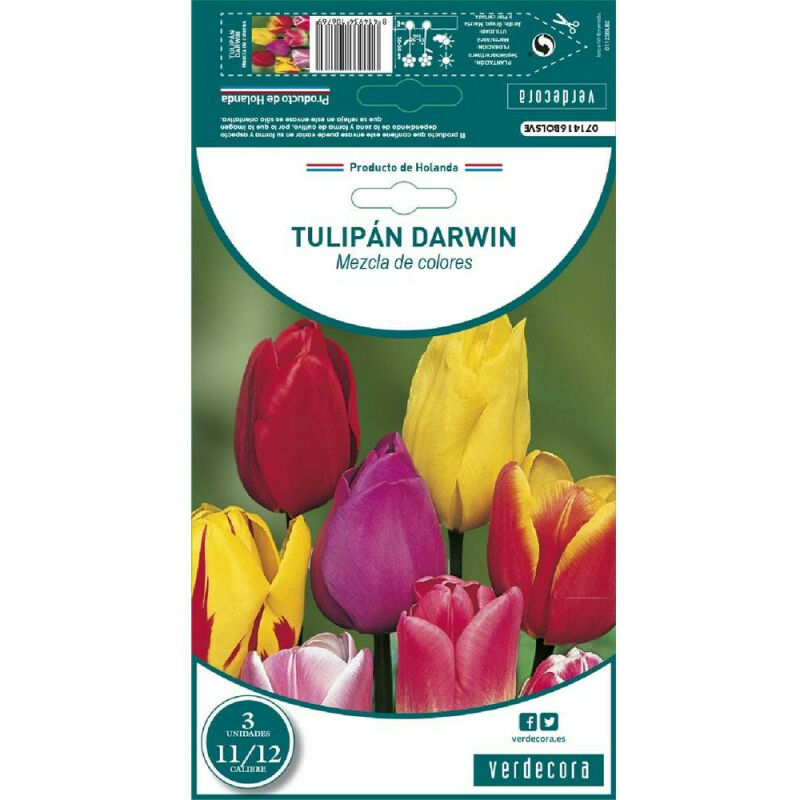 

Bulbos Tulipan Darwin Mexcla 3 Uds