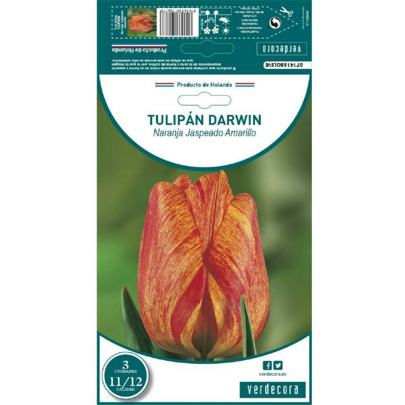 

Bulbos Tulipan Darwin Naranja Jaspeado Amarillo 3 Uds