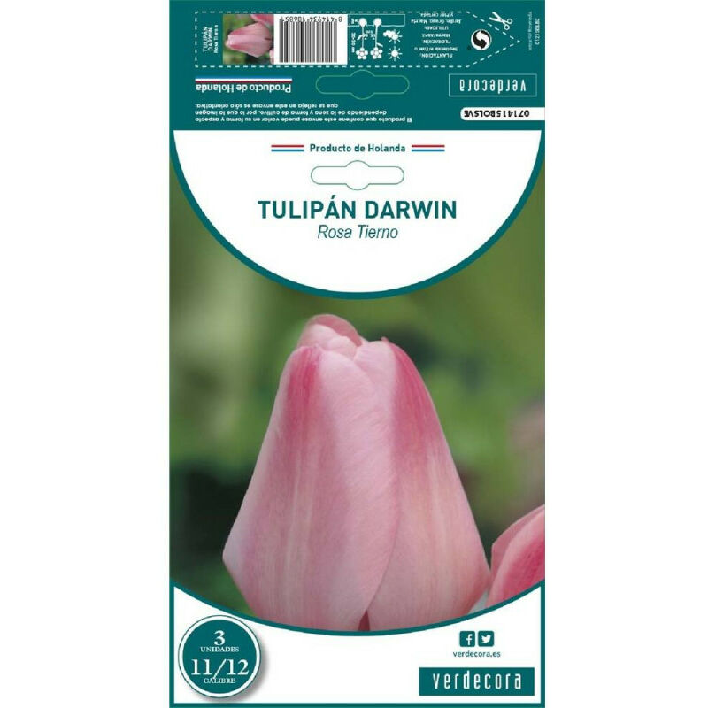 

Bulbos Tulipan Darwin Rosa Tierno 3 Uds