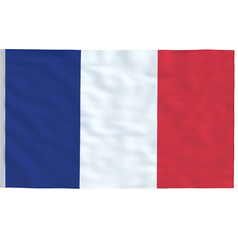 Vidaxl - France Flag 90x150 cm