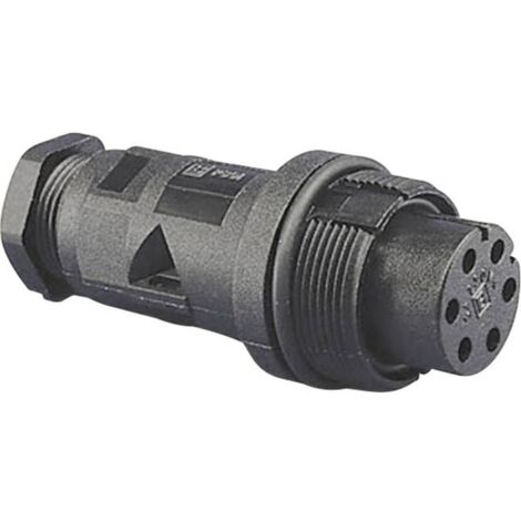 Bulgin PX0801 Cosse cylindrique mâle embase mâle Série (connecteur rond): PX08 1 pc(s) D17163