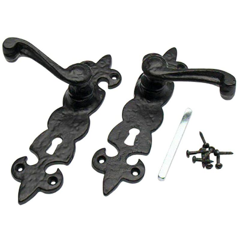 Bulk Hardware BH01855 Set Maniglia per Serratura Porta con Chiave, Motivo a Giglio, Finitura Anticato, Nero Anticato