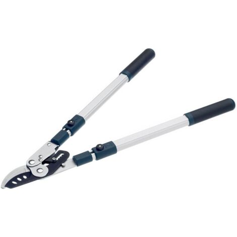 Bulldog BD3113TW BD3113TW Evergreen Extending Bypass Loppers BULBD3113TW