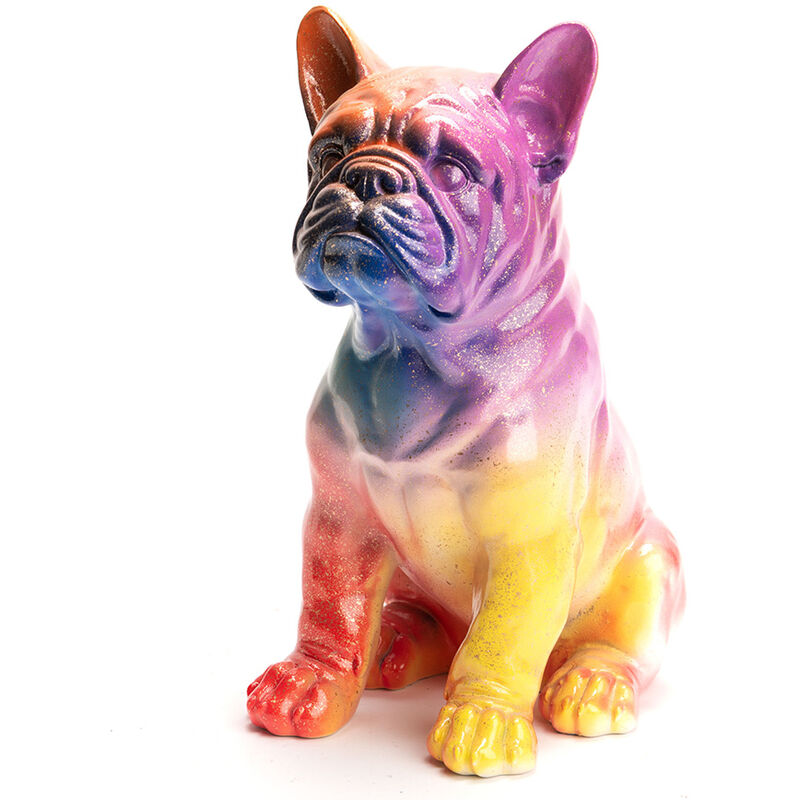 Bulldog Français Yuki Rainbow Amadeus