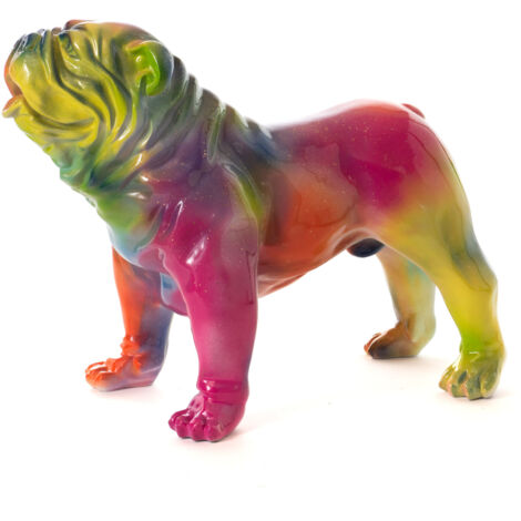 Bulldog USA Rainbow - Amadeus