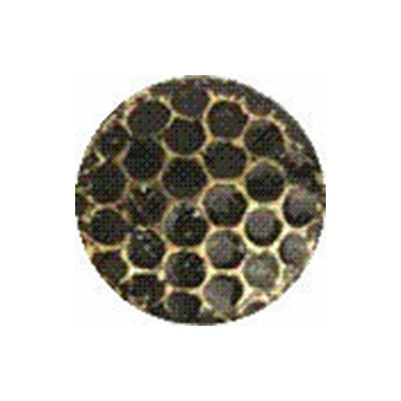 Image of Capaldo - Bullette Bronzate in acciaio martellato per tapezzieri 10 mm - 1000 pezzi - 1508M