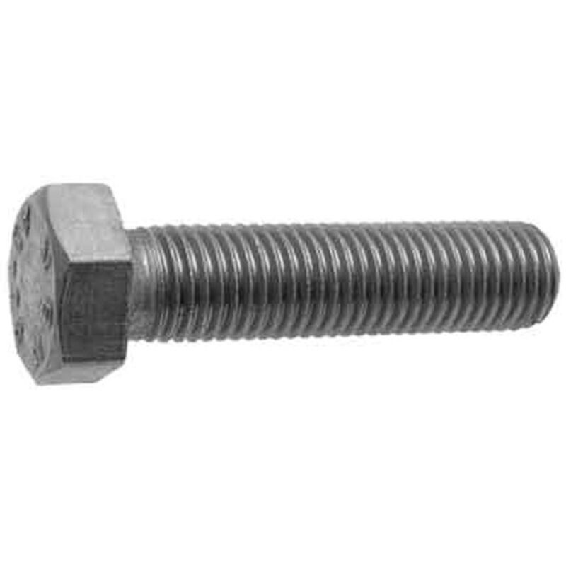 BULLONE T.E. INOX 12x60 Q.TA 50