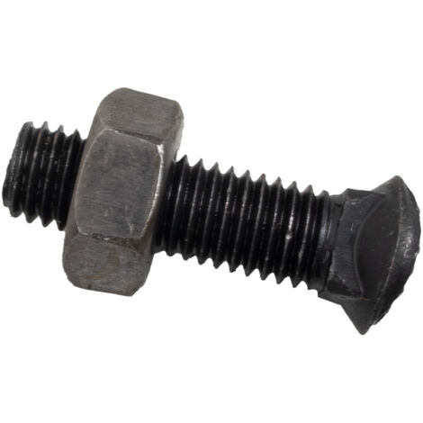 Bullone testa ovale M10x38 con dado