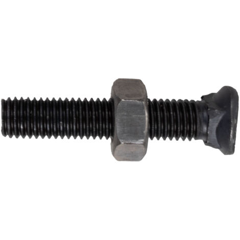 Bullone testa ovale M10x55 con dado