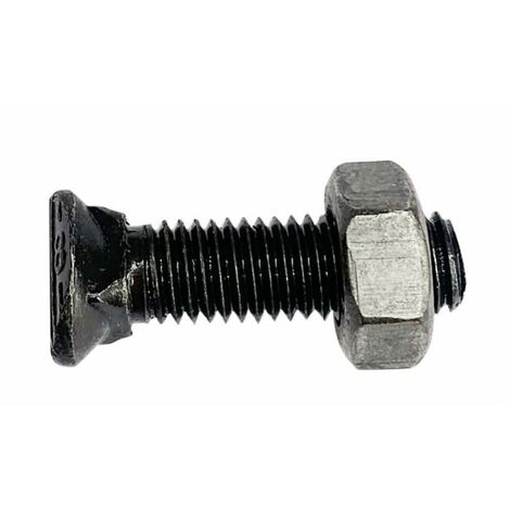 Bullone testa ovale M10x60 con dado